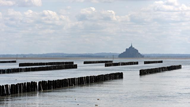 Bouchots de la baie du Mont Saint-Michel
