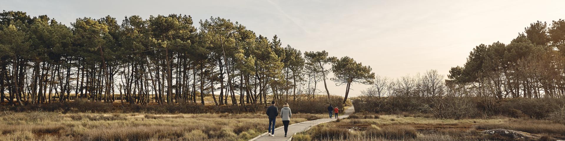 Marais, vers le Maner